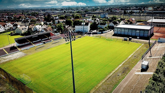 辽宁血亏 辽宁血亏