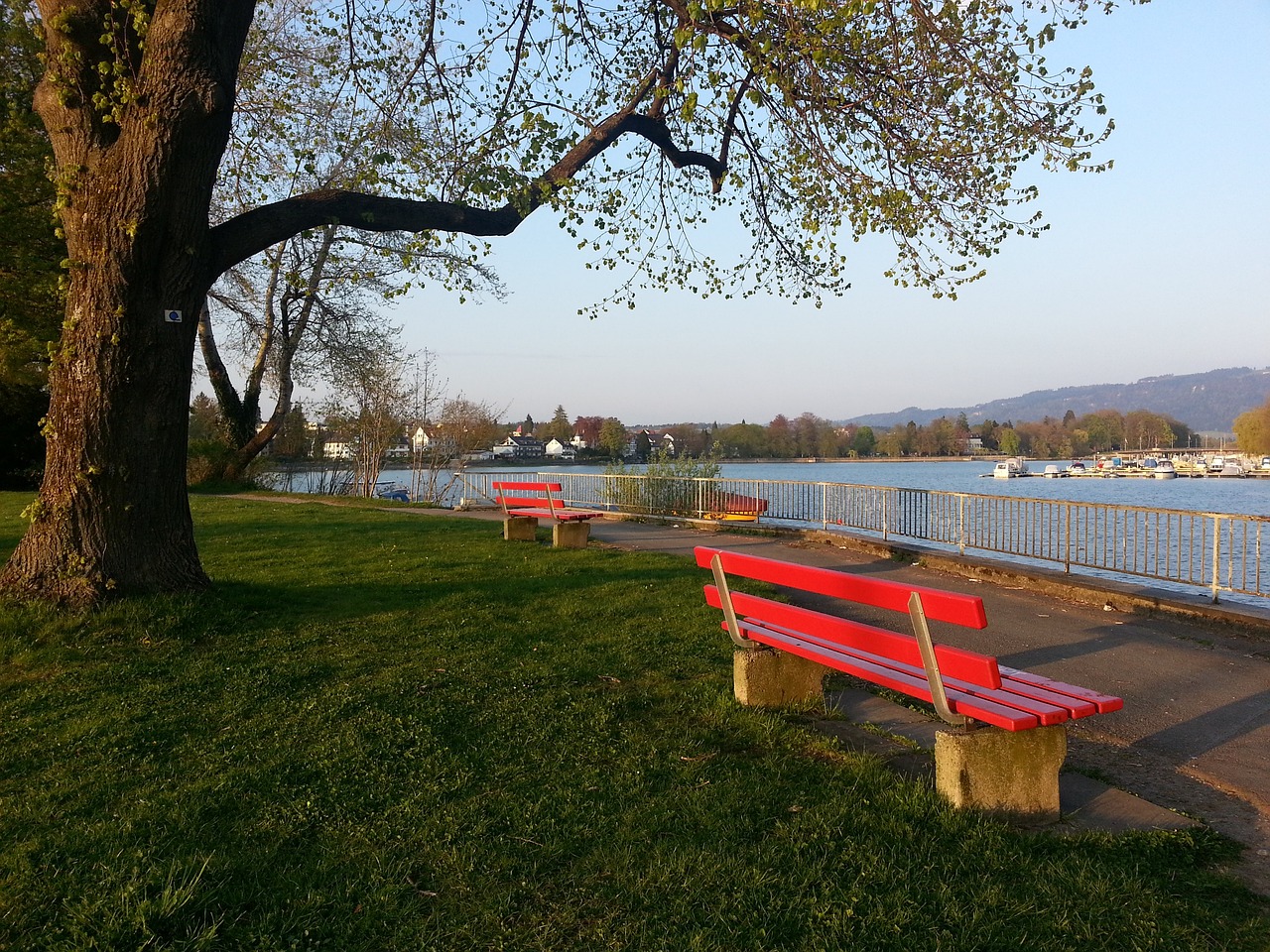 南安普顿的 南安普顿的