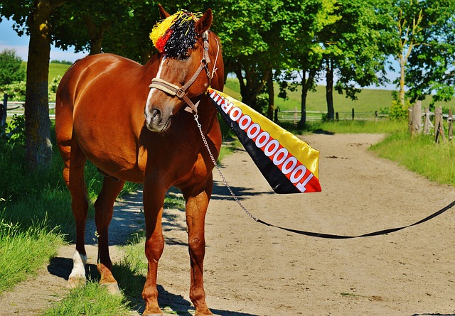 任何一环出 任何一环出