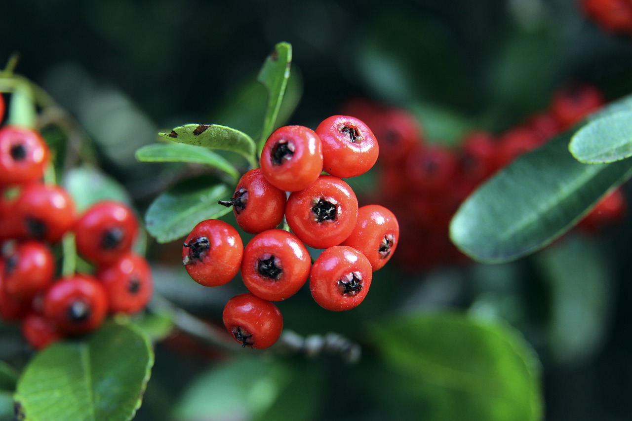 望在技战术 望在技战术