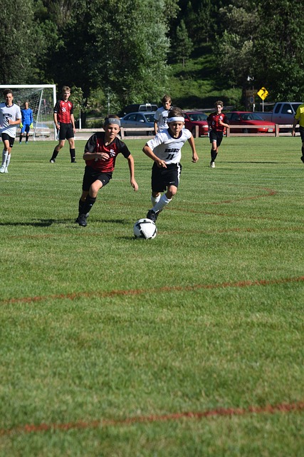 如果无法融 如果无法融