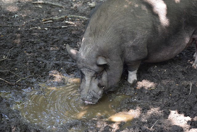 援都伴随着 援都伴随着