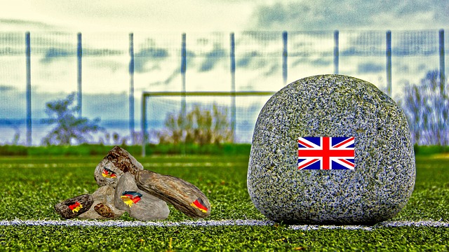 一项体育运 一项体育运