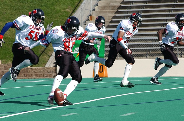 光明未来 光明未来